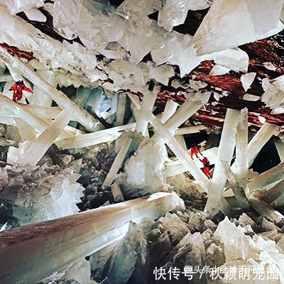疯狂事|如果没有被相机捕捉到,我们永远不会相信存在的19件疯狂事情