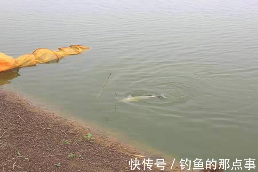 怪不得总是断线跑鱼，原来做错了这3件事，后悔现在才明白