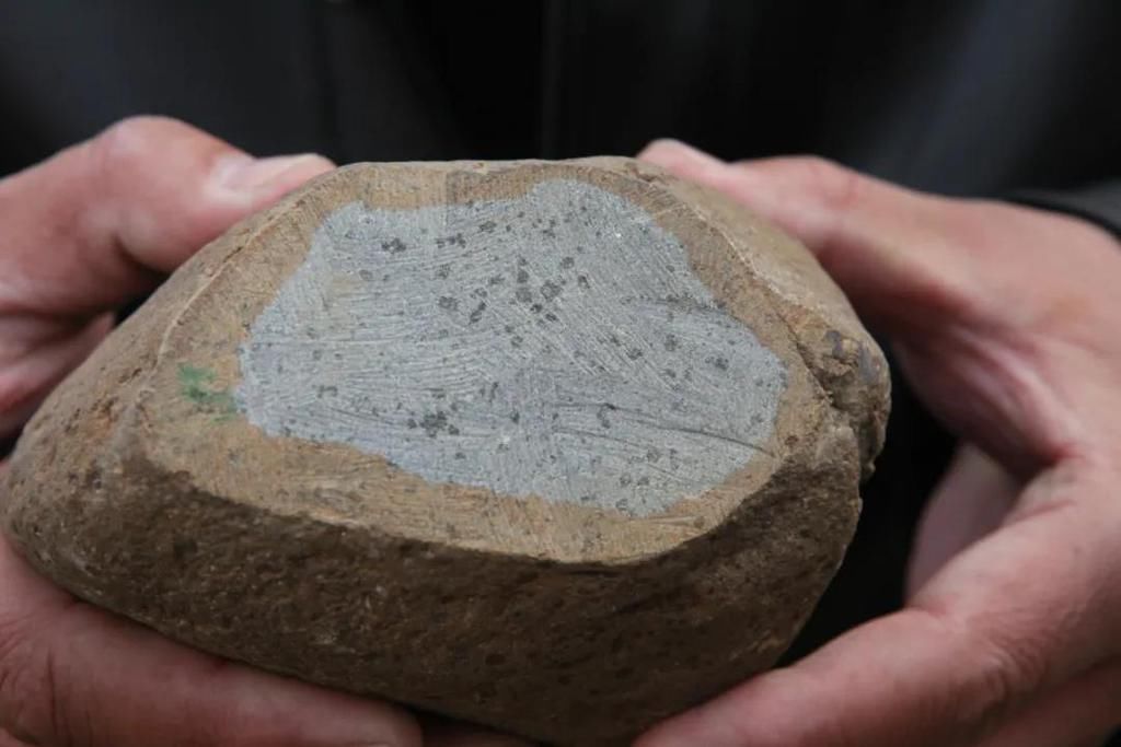  陨石|“群星”在故都闪耀——第四届临淄齐国商城陨石展