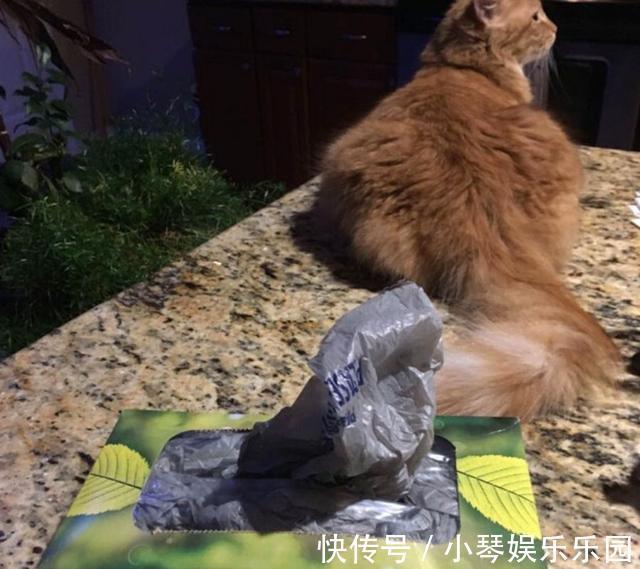 我们的生活|这就是天才吗?30种有用的日常生活技巧