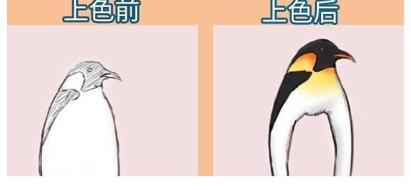 marmot$有一位画手每次画到一半就放弃，当作品被上色之后，瞬间有了灵魂