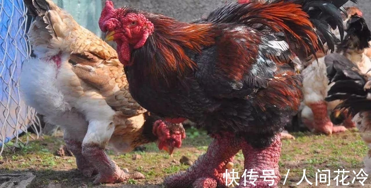 东涛|趣味冷知识分享,快来一起看看吧!