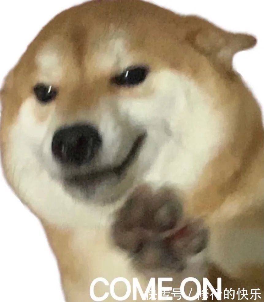 |搞笑表情包|来嘛~