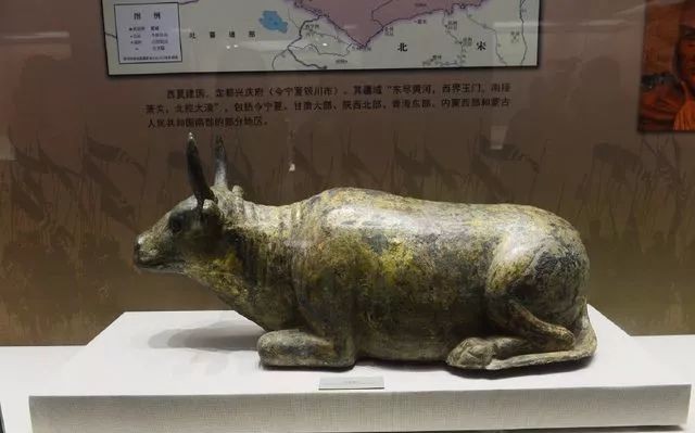  西夏|一脚踢出来的国宝，西夏第一牛！