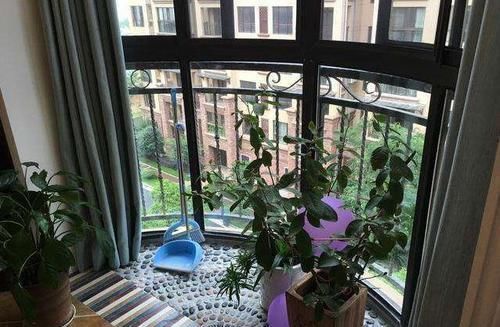 草坪|为什么有钱人阳台不铺瓷砖了？看完这种设计，真懊悔没早知道