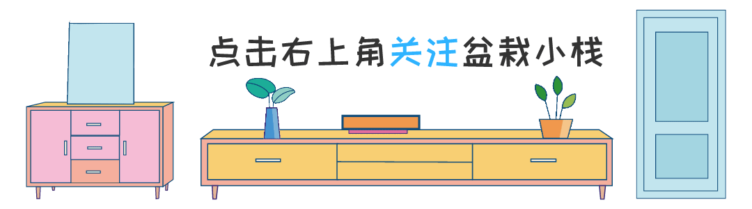 有了院子才发现,会养花是有多重要!