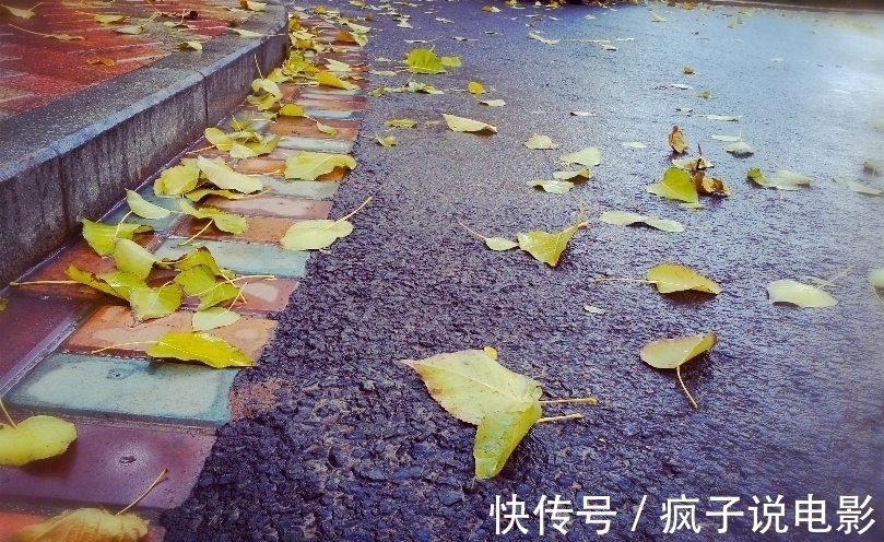 江阔云$满满全是人生的10大诗词排行榜,都有哪些优秀的诗词入榜?