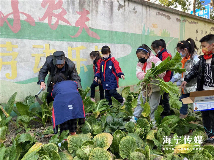 海宁@“双减”后的第一个寒假我们一起过 有趣有意有爱