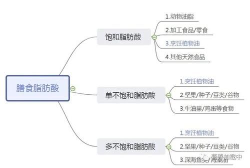 营养前提下的简化饮食
