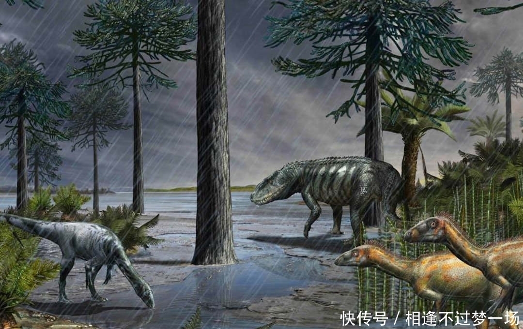 降雨 如果地球迎来一场持续10000年的大雨,对人类有什么影响?