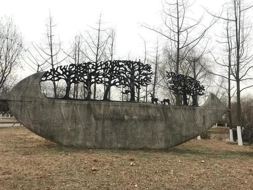 冬天|冬天的湿地公园