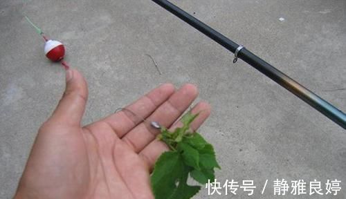 民间野钓草鱼的几种“野路子”，效果好的没话说，上钩全是大草鱼