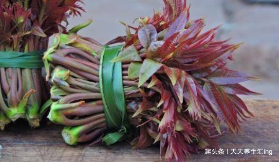 香椿|女性不想脸上爬满皱纹，常食4种食物，美容养颜，美容抗衰老