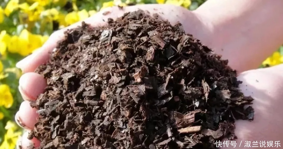 小花|养花不能用的3种土、4种水,不利于花卉生长,啥花都养不久