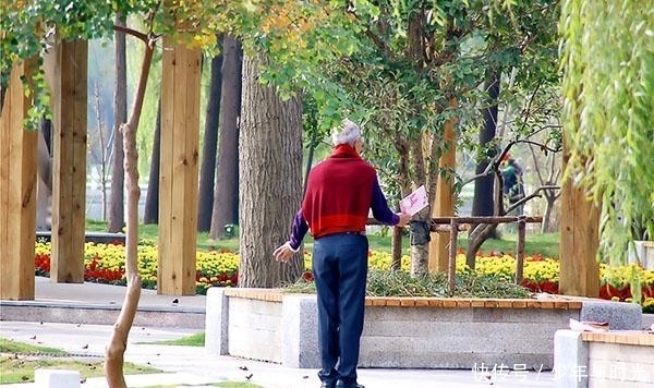 人的年龄标准,超出范围外的,别再不服老了