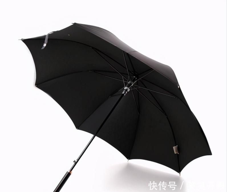 别致暗黑系,来寺库看看AlexanderMcQueen晴雨伞