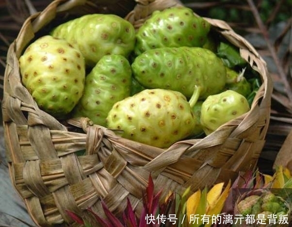 吃货|中国市场没有上市的3种水果,1个比1个奇葩,见过1种都是顶级吃货