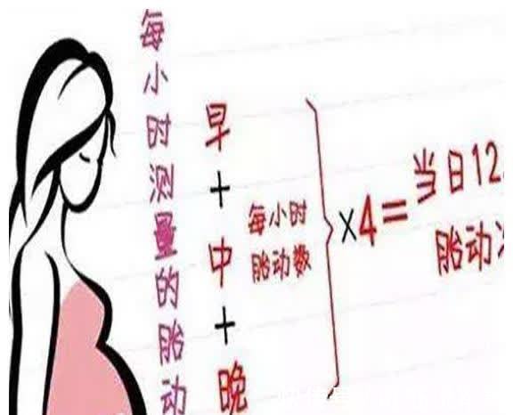 胎儿|怀孕五个月,基本没胎动,怎么回事?很多准妈妈不清楚,早知道好