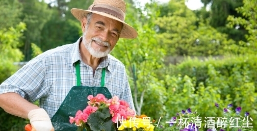 卧室养花空气新鲜就选3种花!帮助提升睡眠质量,明智的人都选它