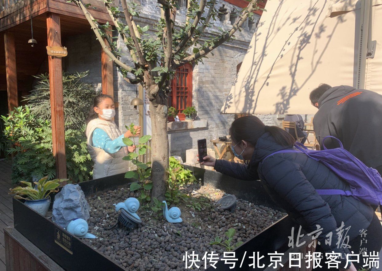 李女士|模式口大街怎么逛？本端带您探寻老舍笔下的“北平之秋”