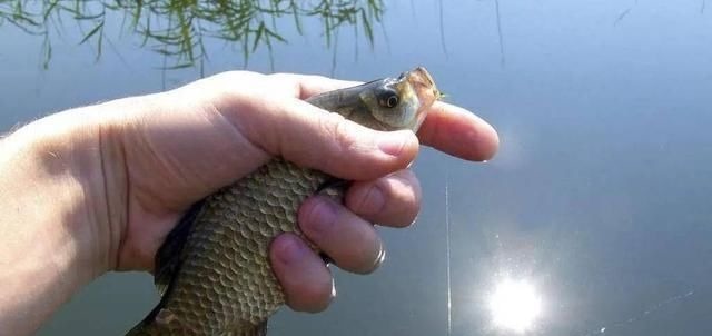 冬季|冬钓时,这三个位置不宜考虑,莫不信,老司机们都晓得,不学亏了