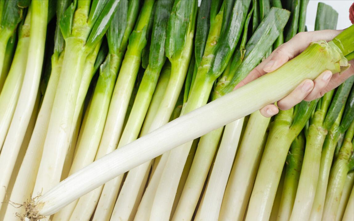 冬天大葱如何保存？教你3个好方法，平房楼房都适用，新鲜不烂根