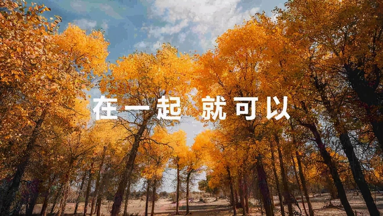 系统|鸿蒙系统 2.0时间敲定，深挖背后还有这些“秘密”