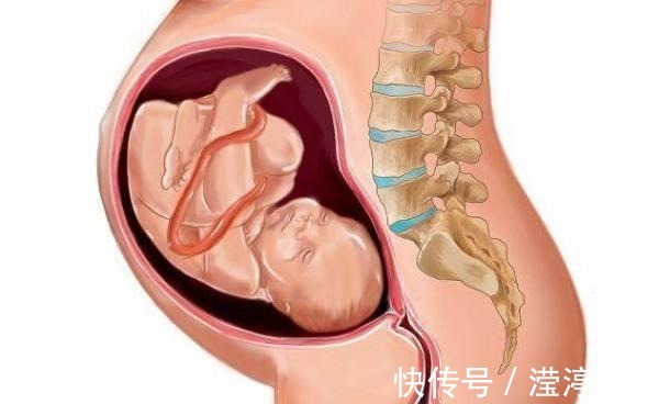 宝妈|有这四种条件的孕妈,生宝宝比较快,占两条就很幸运了