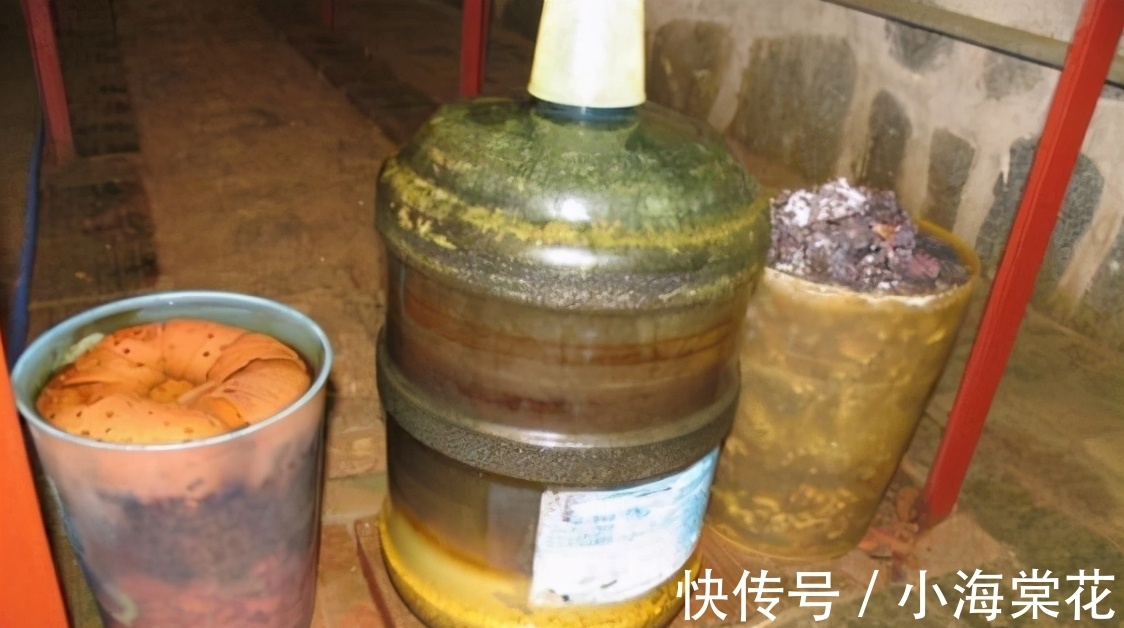 植物|这3样“养花水”，无论哪1种都制作简单，对植物健康有益