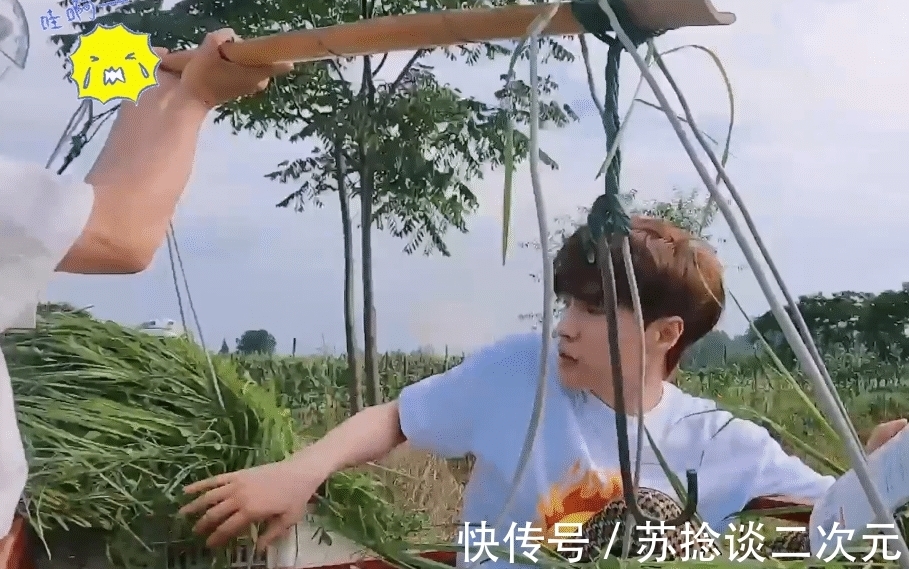 驾驶座|偶遇婆婆挑草，张艺兴彭昱畅的举动成焦点，人品是装不出的