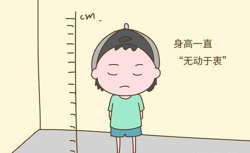 猕猴桃|这4种水果或有助于孩子长高,医生建议:家长可经常给孩子吃