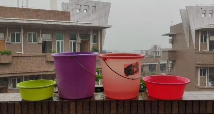 养花浇水是门学问，不讲究迟早要吃大亏，别再随意用了