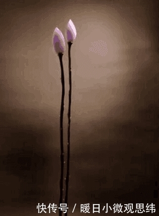 当翡翠遇见慈禧,欣赏晚晴时代的极品翡翠。