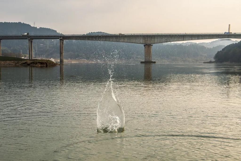 秀水|超多美图＂预警＂！仪陇嘉陵江秀水长滩湿地公园即将开园