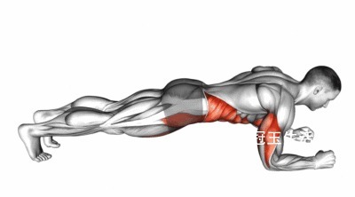 健身|健身如何训练核心？这几个动作，助你一臂之力