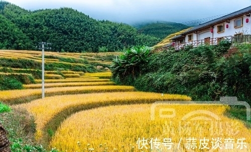 宜居|江西生态最美的山区县，客家梯田面积达4万多亩，景色如画很宜居