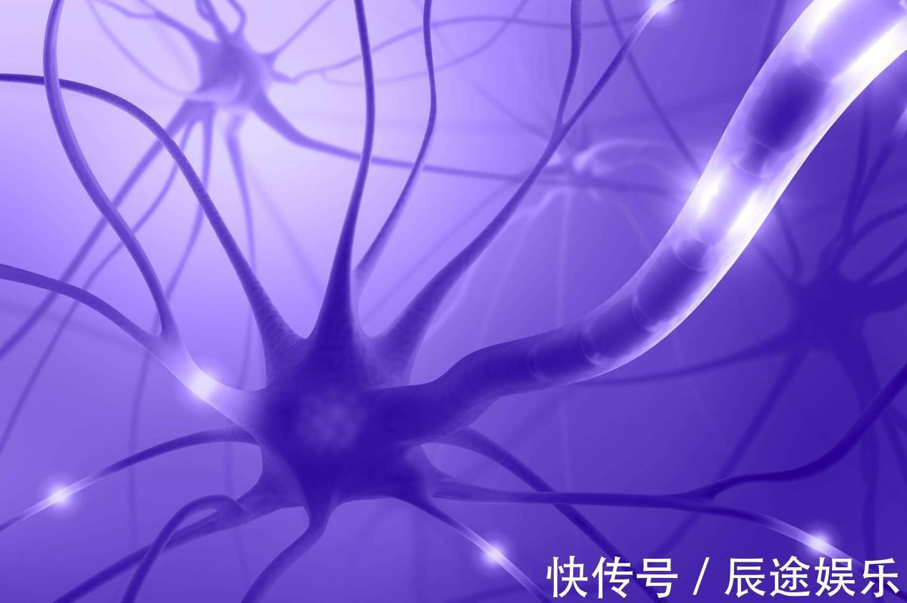 高蛋白|想要衰老不痴呆,生活中坚持吃4种食物,增强抵抗力抑制记忆衰退