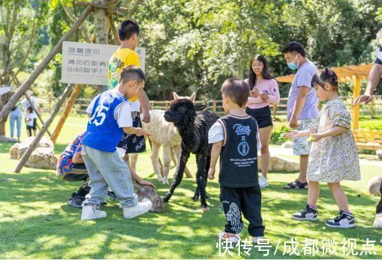 小姐姐|向日葵、汉服秀、露营......剑门关景区和双旗美村又叒火了