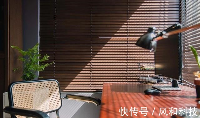 挂画|90后小姑娘的独居公寓,阳台打造成森林,一个人住也舒服