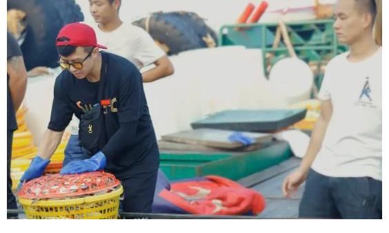 撒贝宁|《五哈》第二季即将开播,拟邀嘉宾名单曝光,撒贝宁的加入很意外