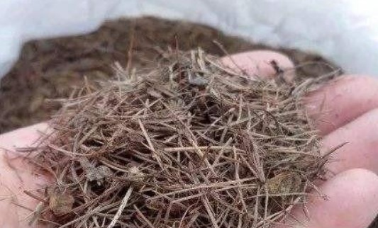 柳树皮、花生壳都不如这“两种土”,简单方便,养啥都易爆盆