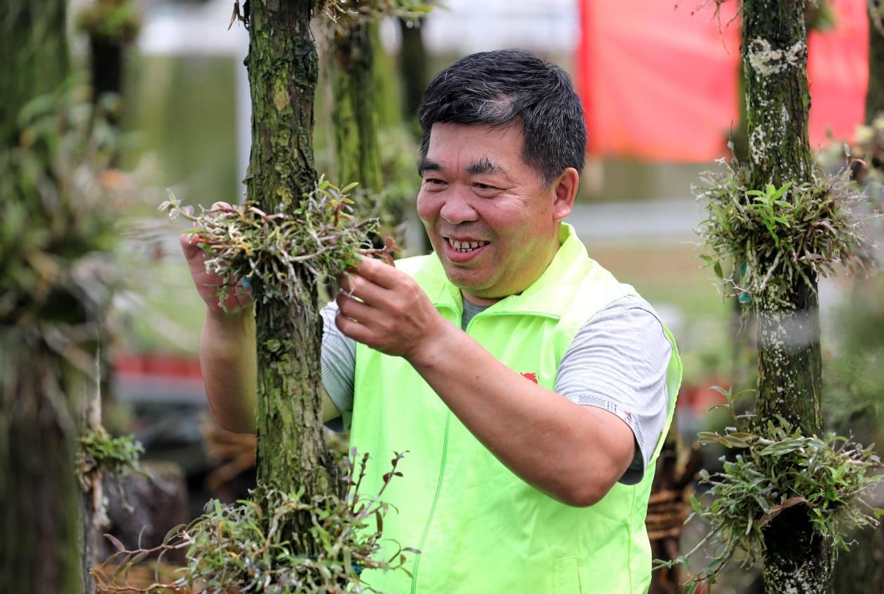 铁皮石斛|安徽全椒：最是一年秋好处 尽赏秋色在慢岭