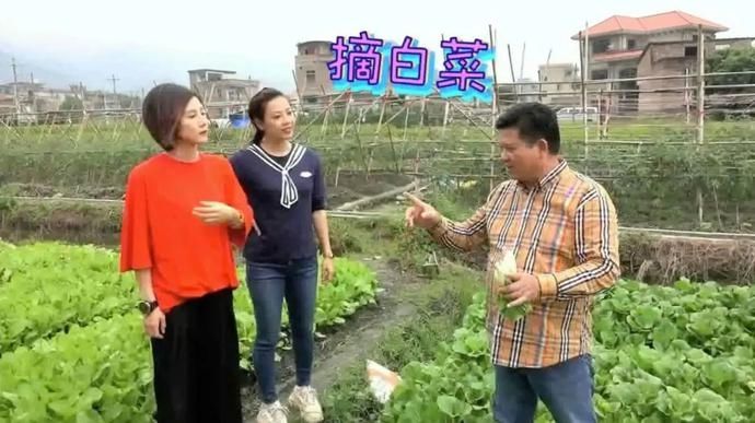 正当|美食｜农家食材正当造，“舅父新”巧手做美食滋味好