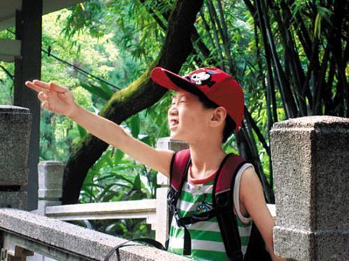 苹果|要想宝宝脾胃强健吃饭香,两种水果煮水喝,个头蹿得也快