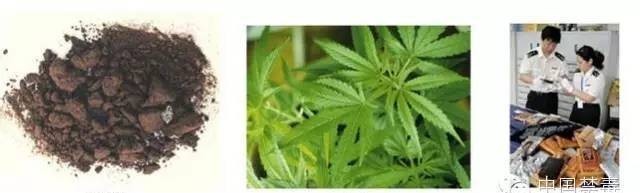 唯一|明朝唯一五毒俱全的皇帝,还是中国历史上最早吸食鸦片的人