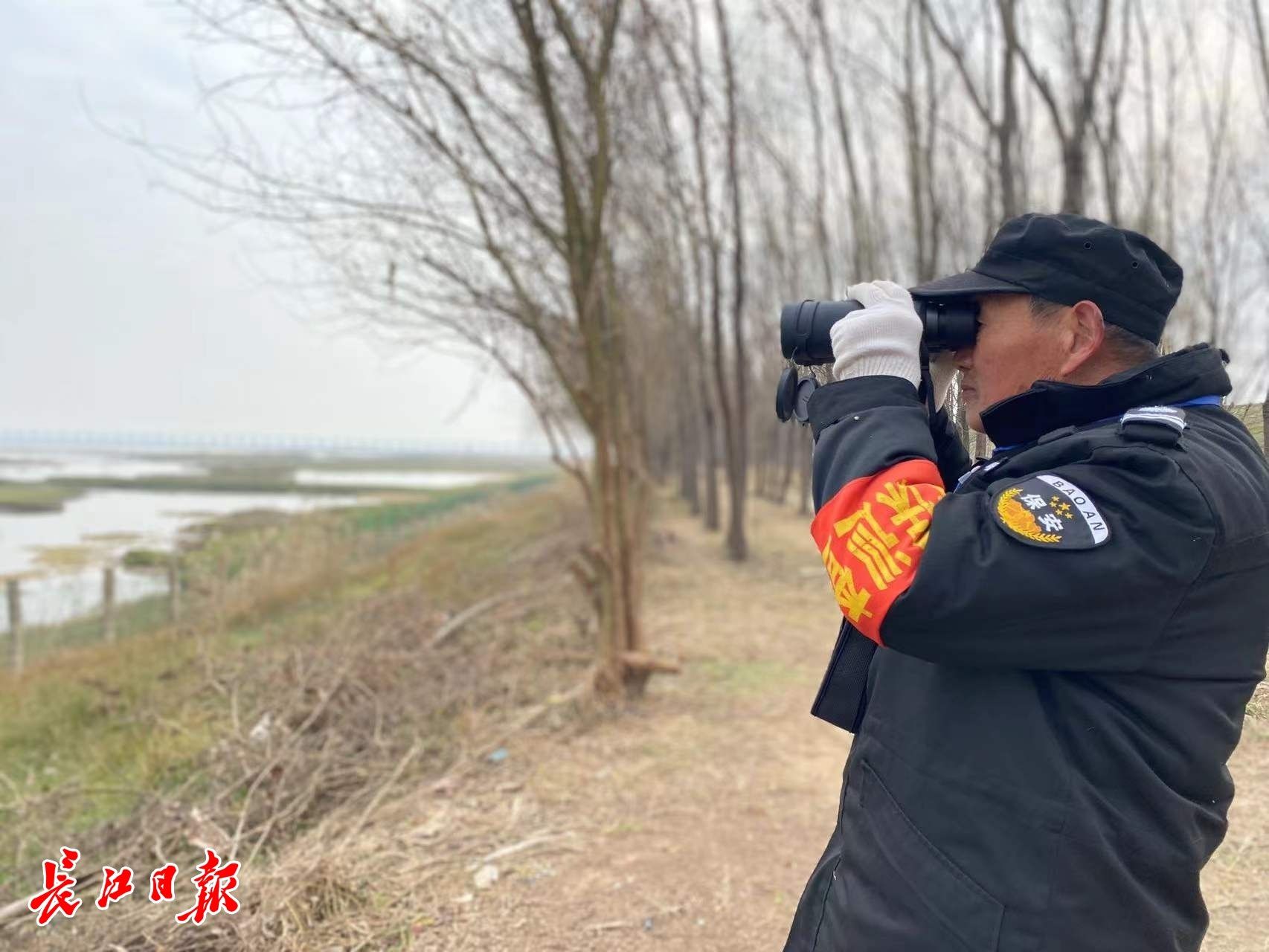 汤国社|66岁野保员每天巡湖20公里，守护“候鸟天堂”