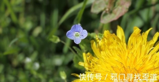 月老|最近6天，月老牵线，真爱来袭，薪资增长，无愿无悔，真诚托付