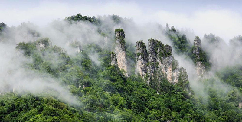 旅游|湖北神农架：与“旅”有约，共待花开