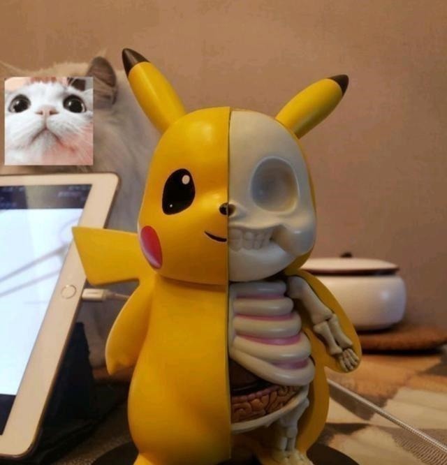 宅男|宅男收藏“另类手办”家人看不惯扬言要砸掉,结局太真实