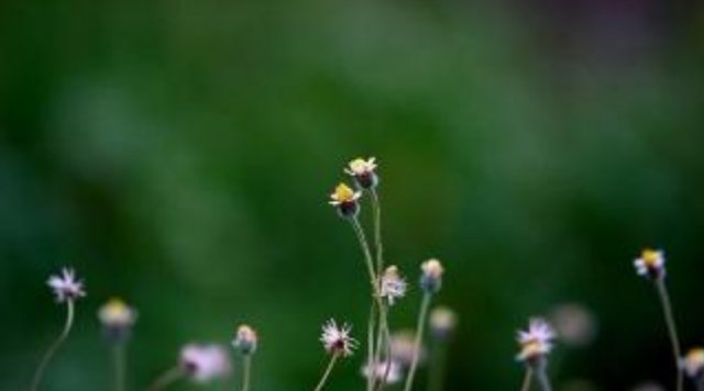 圣人#《道德经》：悟透这五个字，才发现最高明的管理者都有这种特质！